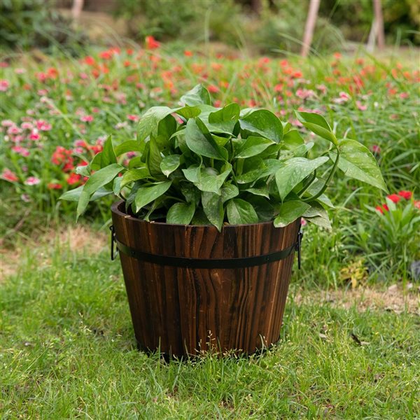 Gardenised In Wooden Whiskey Barrel Planter With Medal Handles And