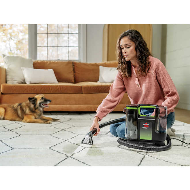 Little Green MAX Pet Portable Carpet Cleaner with PET PRO OXY Spot & Stain Formula and Tools