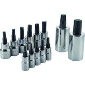 CRAFTSMAN 13-Piece 1/4-in and 3/8-in Drive Torx Bit Socket Set