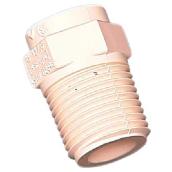 CPVC Adapter