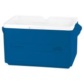 Glacière en plastique 31 litres, bleu