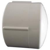 1-in PVC cap