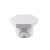 Bouchon mâle fileté 1 po en PVC de série 40 Ipex