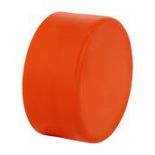 IPEX 2-in Orange Plastic Test Cap