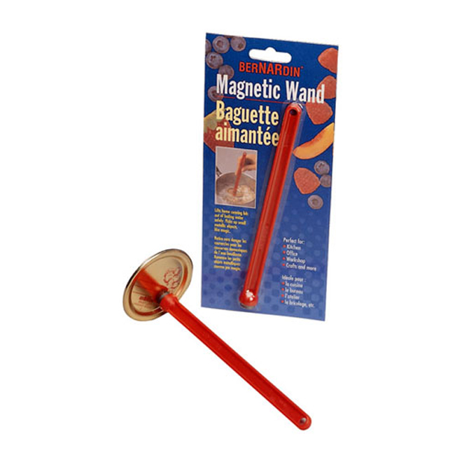 Magnetic wand
