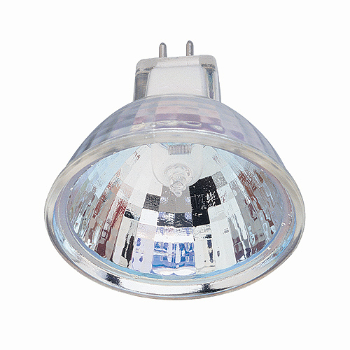 Ampoule halogène Globe Electric, intensité réglable, culot deux broches MR11-GU4, 35 W, paquet de 2