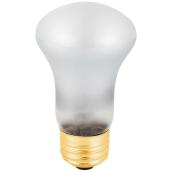 Globe Incandescent Light Bulb - E26 - 60 W - Frosted