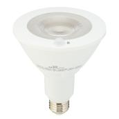 Ampoule DEL à détecteur de mouvement, PAR38, 13W, blanc chaud