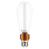 Ampoule DEL ST64 3 W, intensité variable, transparent