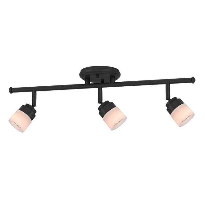 Globe Electric Ax 4 Lights 23-in Black Dimmable Tracklight