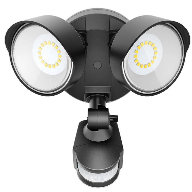 Globe Electric 11W LED Floodlight with 2 Solar-Powered Lights and Motion Sensor - Black