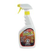 Masonry Cleaner 22 Oz