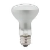 GLOBE Floodlight Bulbs- A19 -E26 -60 W - Frosted - Pack of 6