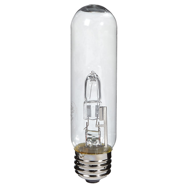 Globe Electric Clear Vintage-Style Incandescent Light Bulb - 60-W - 245-lm - T10-Medium Base