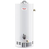 Giant Natural Gas Water Heater - Residential - 42-gal - 40000-BTU