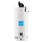 Giant Natural Gas Water Heater - Residential - 50-gal - 40000-BTU