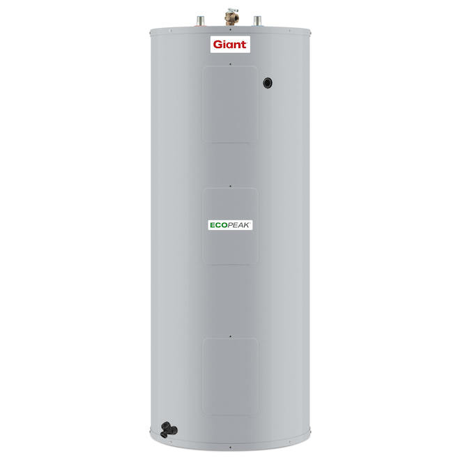 Giant Electric White Standard 60-Gallon Water-Heater 172STPS-3F7M