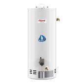 Giant Natural Gas Water Heater - Residential - 33-gal - 38,000-BTU