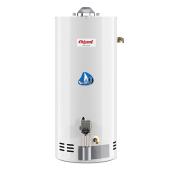 Giant 42-gal 38,000-BTU Natural Gas Residential Water Heater