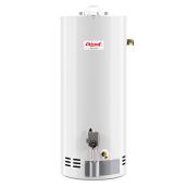 Giant Gas Water Heater - 40 US Gallons - White - 38 000 BTU