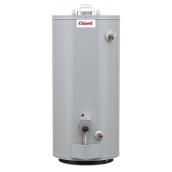 Giant 40,000-BTU 40-Gal Atmospheric Vent Natural Gas Water Heater