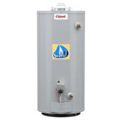 Giant 40,000-BTU 40-Gal Atmospheric Vent Natural Gas Water Heater