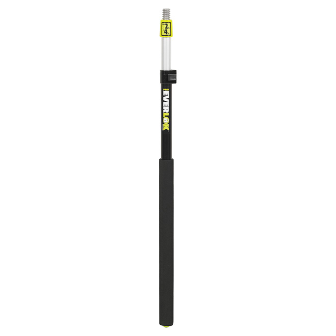 Pintar RPE 124 Extension Pole, 2 to 4 ft L, Aluminum