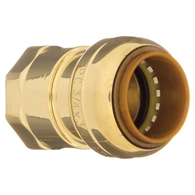 Aqua-Dynamic Female Adapter Coupling - Lead Free Brass - Push-Fit x FIP - Removable - 1/2-in x 1/2-in dia