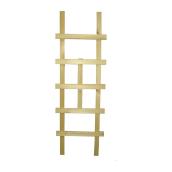 "Ladder" Lattice