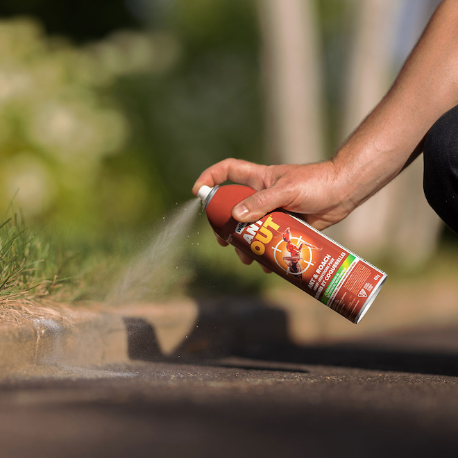 Wilson 1 One Shot 425-g Insect Killer Spray Insecticide 7316420 | RONA