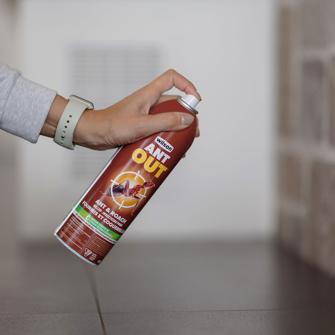 Wilson 1 One Shot 425-g Insect Killer Spray Insecticide 7316420 | RONA