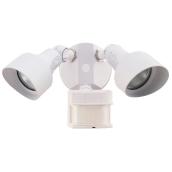 2-Light Weatherproof Halogen Lamp