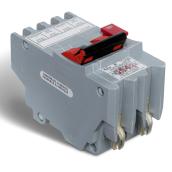 Disjoncteur IDT 20A 2P