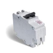 2-Poles Miniature Breaker - 70 A - 120/240 V