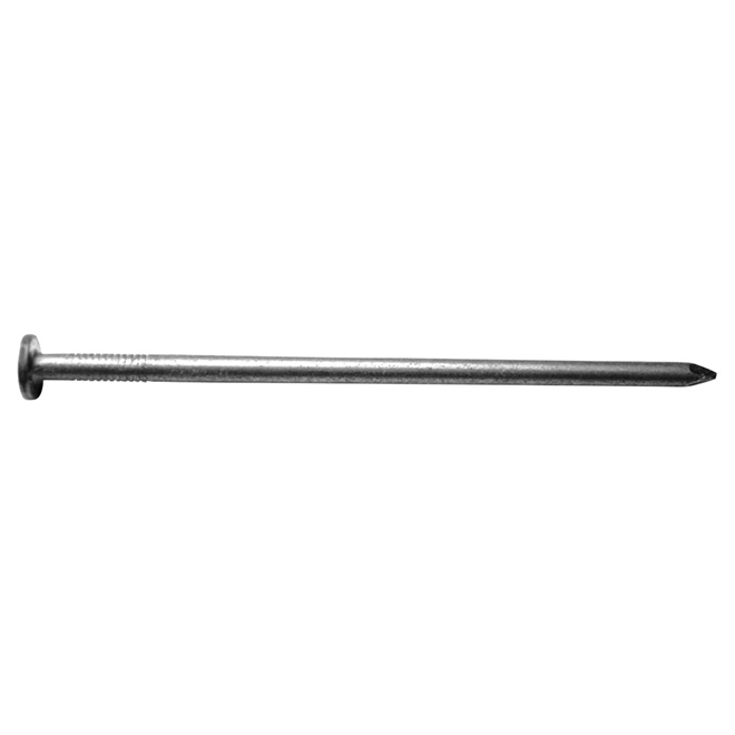Duchesne Construction Box Nails - 3 1/2-in L - Galvanized Steel - Thin Shank - 50-lb Pack
