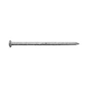 Duchesne Oval Head Siding Nails - Hot-dipped Galvanized Steel - Smooth Shank - 2 1/2-in L - Box of 300
