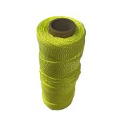 Ficelle en nylon Richard, torsadée, vert, 500 pi