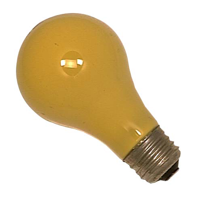 Ampoule incandescente de Sylvania, intensité réglable, culot moyen, A19, 25 W, emballage de 2