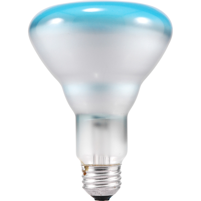 Sylvania Spot-Gro Plant Incandescent Light Bulb - 65-W - BR30-E26 - Frosted