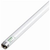 Linear Bulb Double Contact - No Dimmable - Cool White - PK1