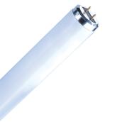 Ampoule fluorescent T12 20 W « Grow-Lux », 24 po