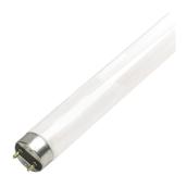 LINEAR FLUORESCENT