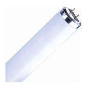 Sylvania Fluorescent Glass Tube - 24-in L - 20-Watt - Cool White - Medium Bi-Pin Base