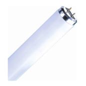 Sylvania Linear Fluorescent Glass Tube - T12 - 30-Watt - 36-in L - Cool White - Medium Bi-Pin Base