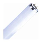Sylvania Fluorescent Glass Tube - T12 - 20-Watt - Daylight - 24-in L - Medium Bi-Pin Base