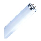 Sylvania Fluorescent Glass Tube - T12 - 20-Watt - Cool White - 24-in L Medium Bi-Pin Base
