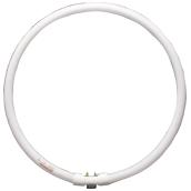 40-W circle fluorescent