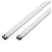 32W Fluorescent T8 Bulb 48