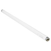 T8 2-Pin 24" Fluorescent Tube - Cool White