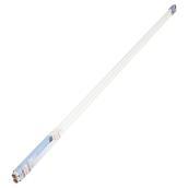 Tube fluorescent T8 1 broche, non variable, blanc froid, 2/pqt